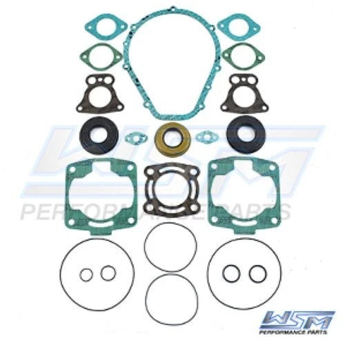 Complete Gasket & Seal Kit for Polaris 700 Freedom (PWC 007-642-05, OE 2201626)
