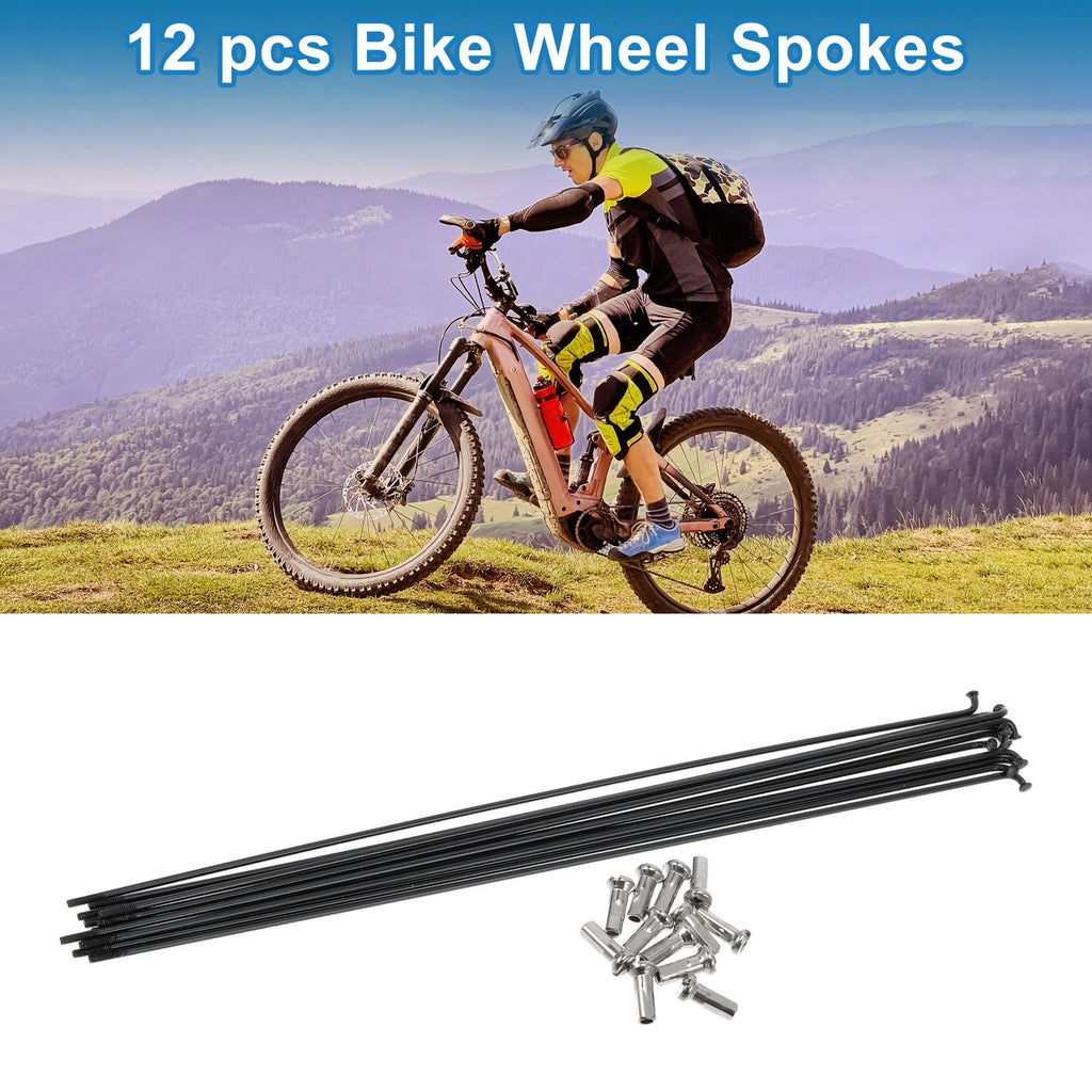 Bicycle Spokes Nipple Set 304 Stainless Steel 253mm Black Universal (14G)