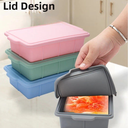 Silicone Trays with Lids for Food Storage (21x13x5.4cm)