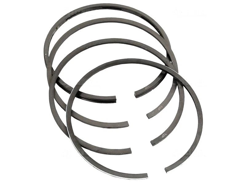 Piston Ring Set 0.020 for David Brown 770 780 880 885 990 995 996