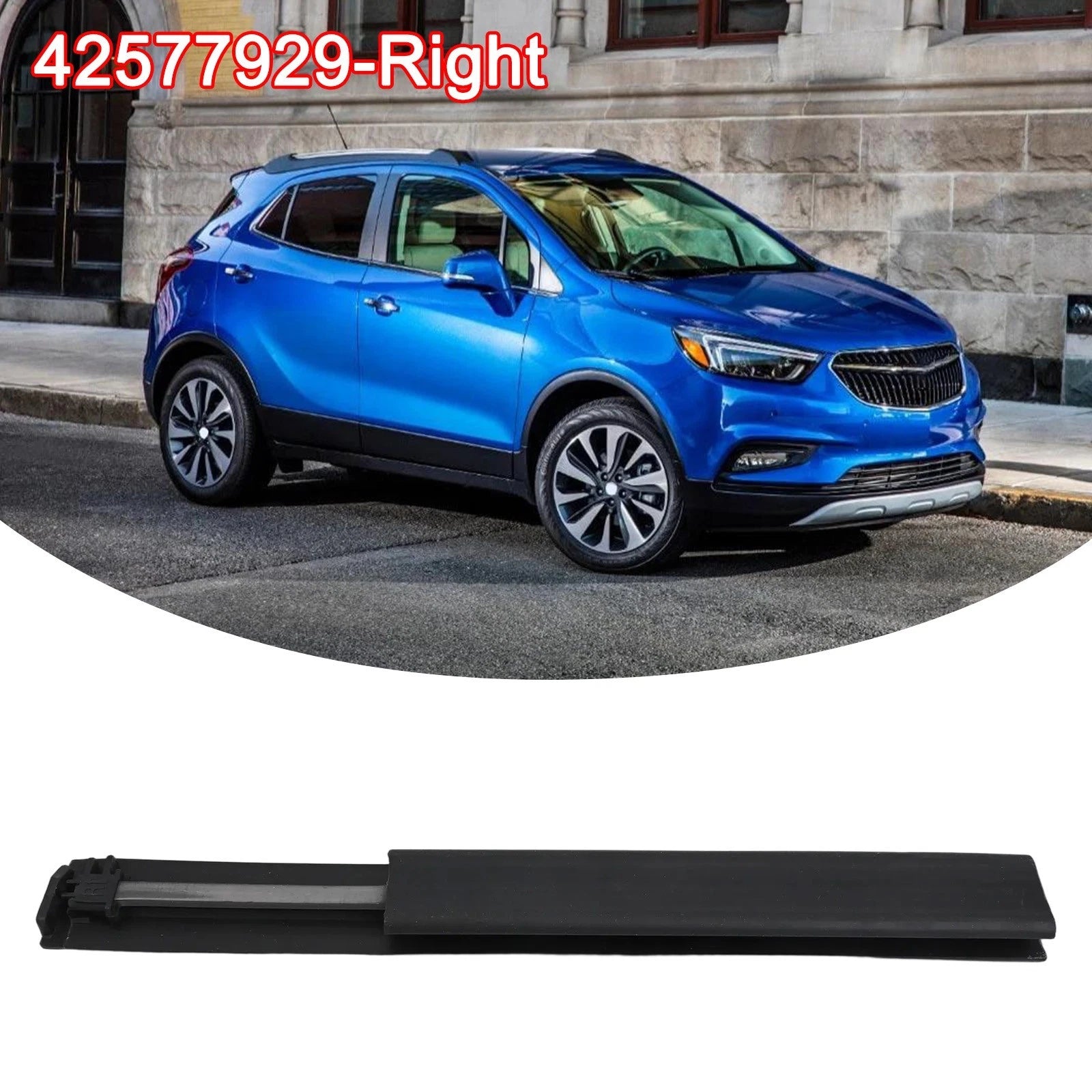 Moldings for Buick Chevy Vehicles