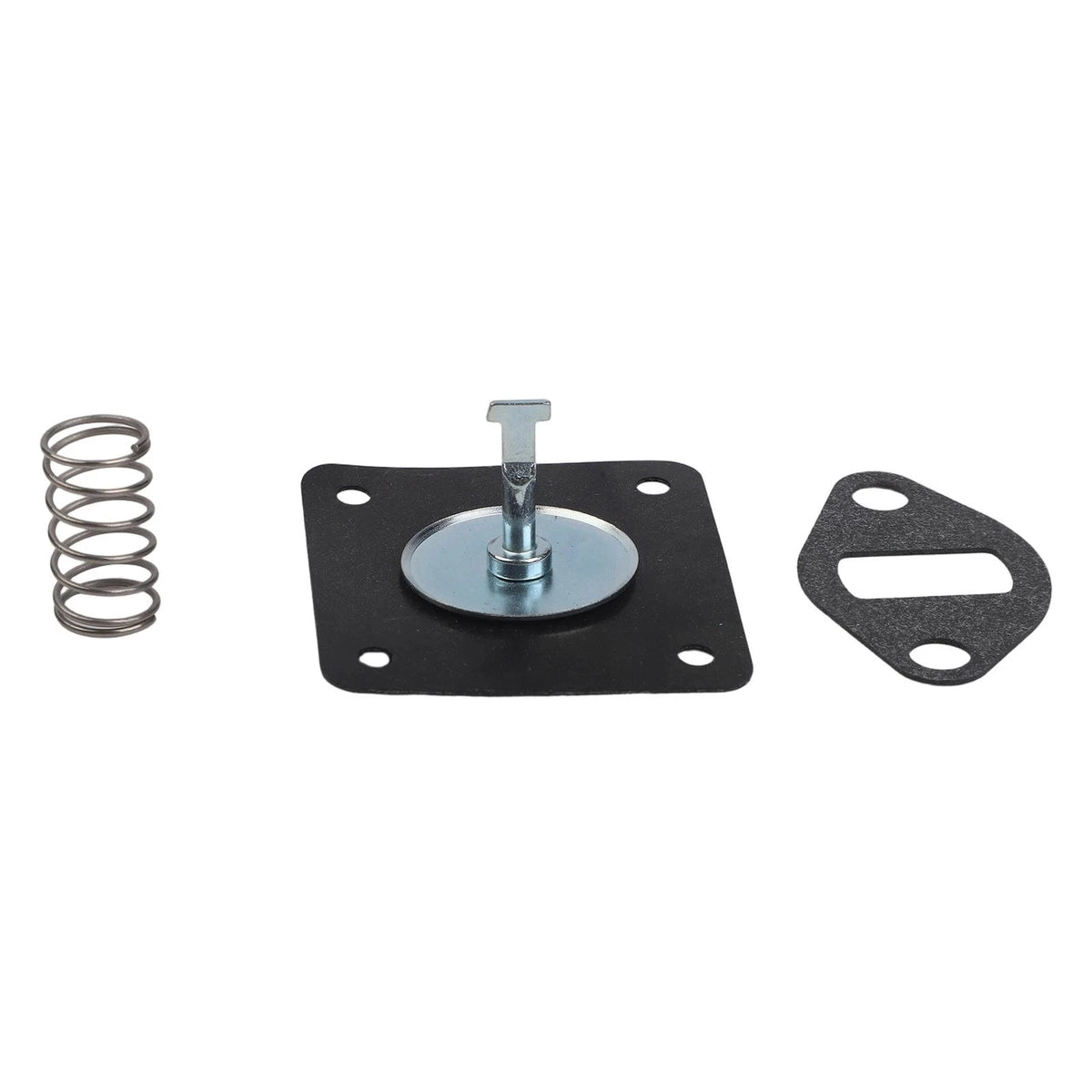 Pump Rebuild Kit for Lawn Mower (K341, K181, K161)