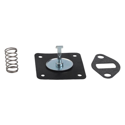 Pump Rebuild Kit for Lawn Mower (K341, K181, K161)