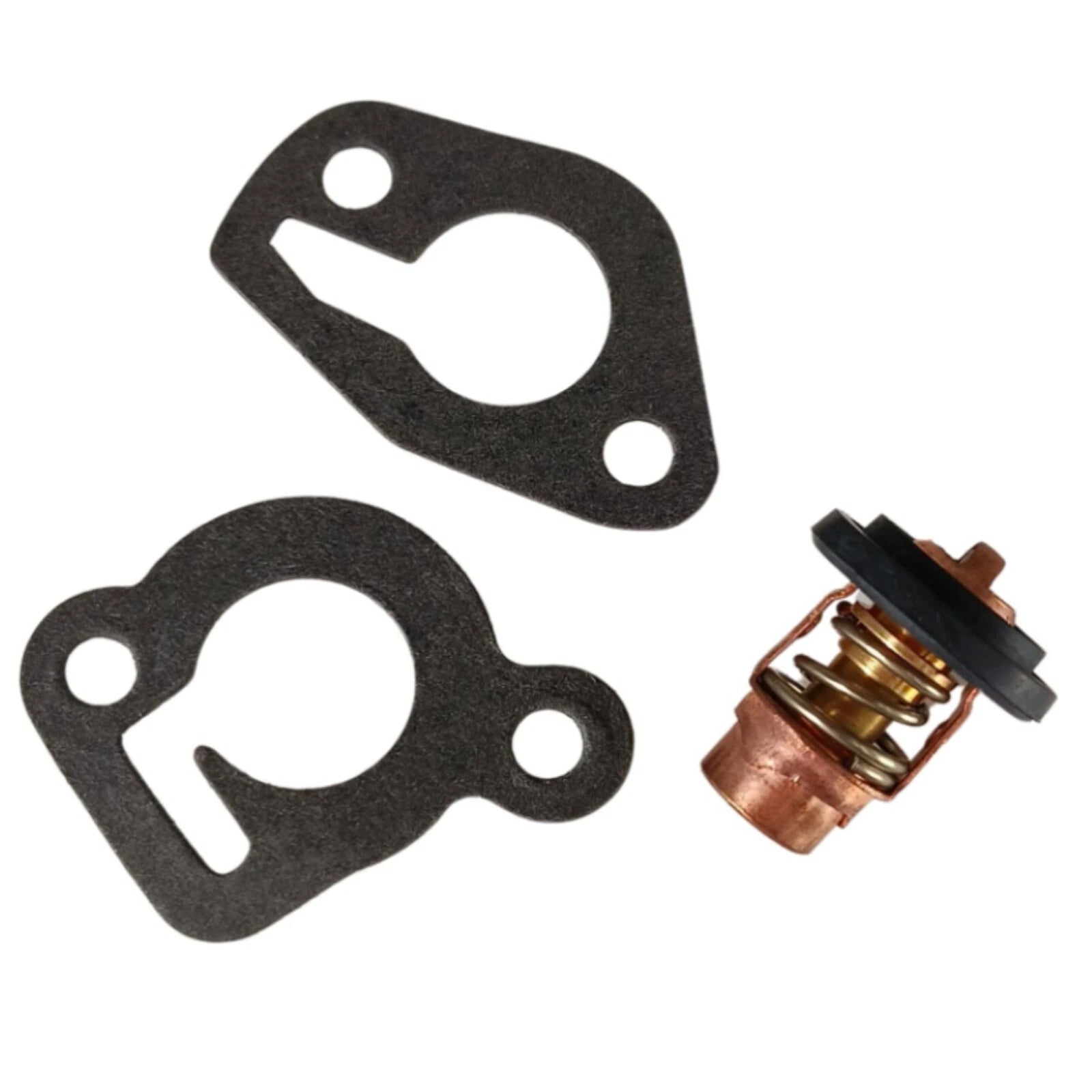 Thermostat Kit for Mercury 6