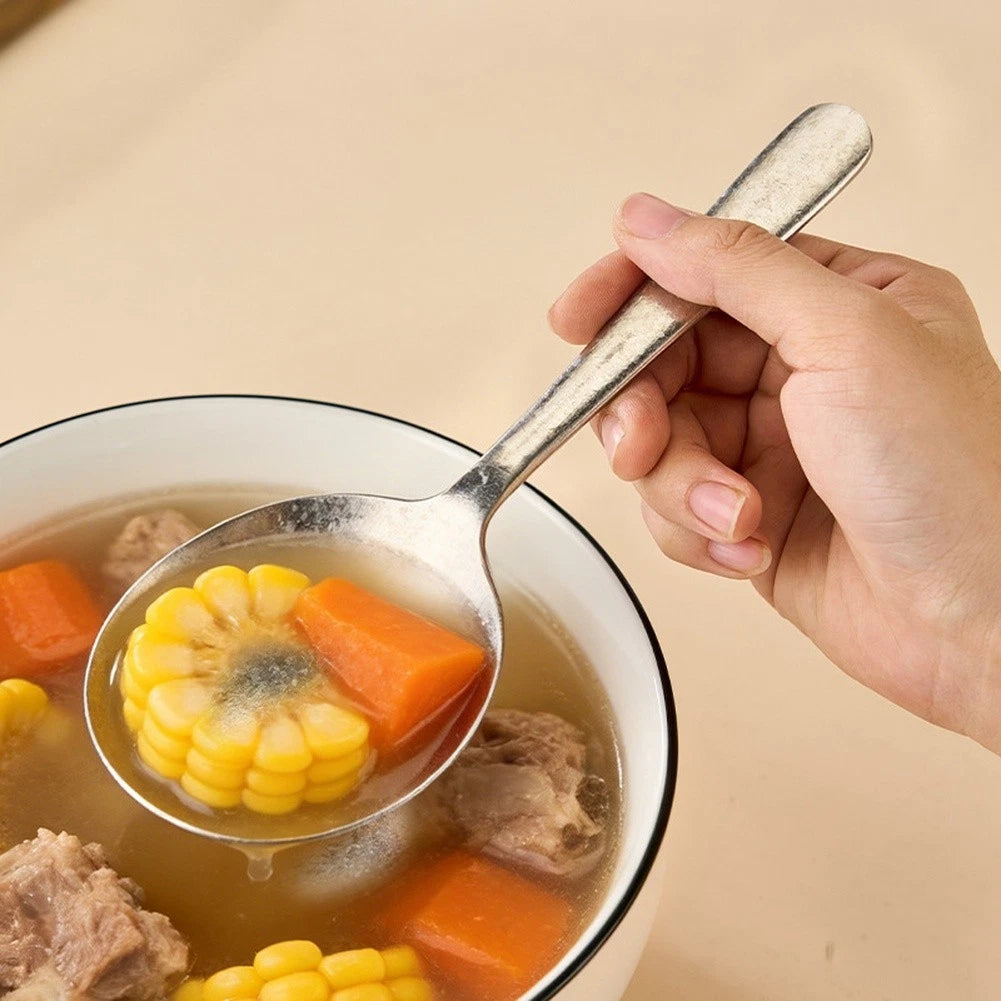 Pure Titanium Spoon for Cooking (20.5 cm x 8 cm)