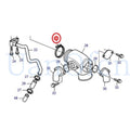 Exhaust Clamp for Yanmar 6LY 6LY2 6LY3 6LYA 6CX (Marine Diesel Engine) 119574-13300