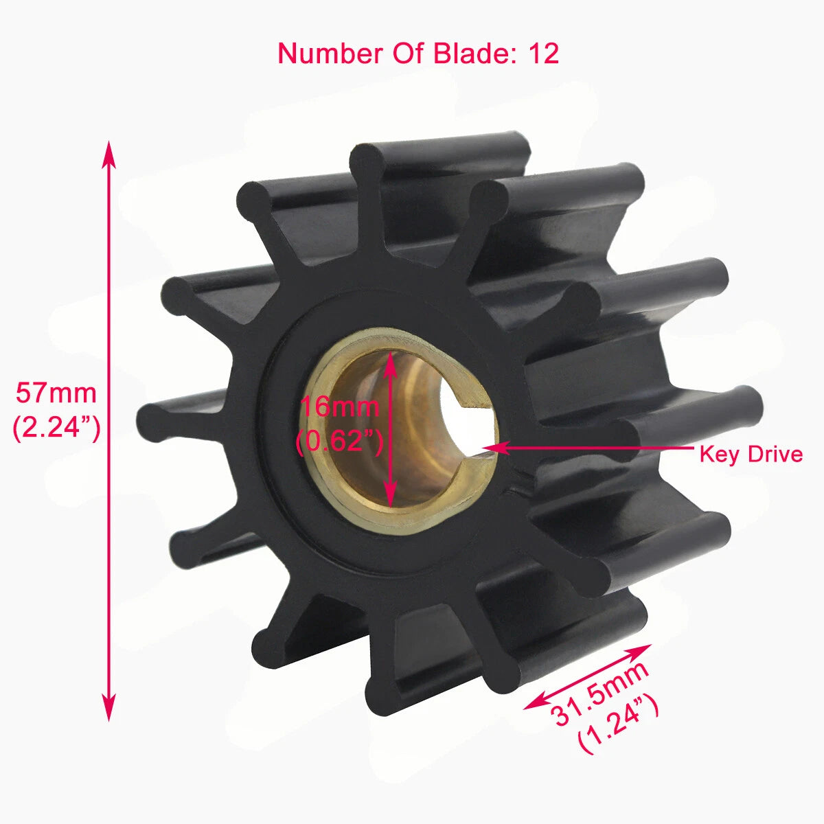 Impeller Kit for Kubota V1903-BGE, V2203-BGE (Oberdorfer 302m-03, 12137)