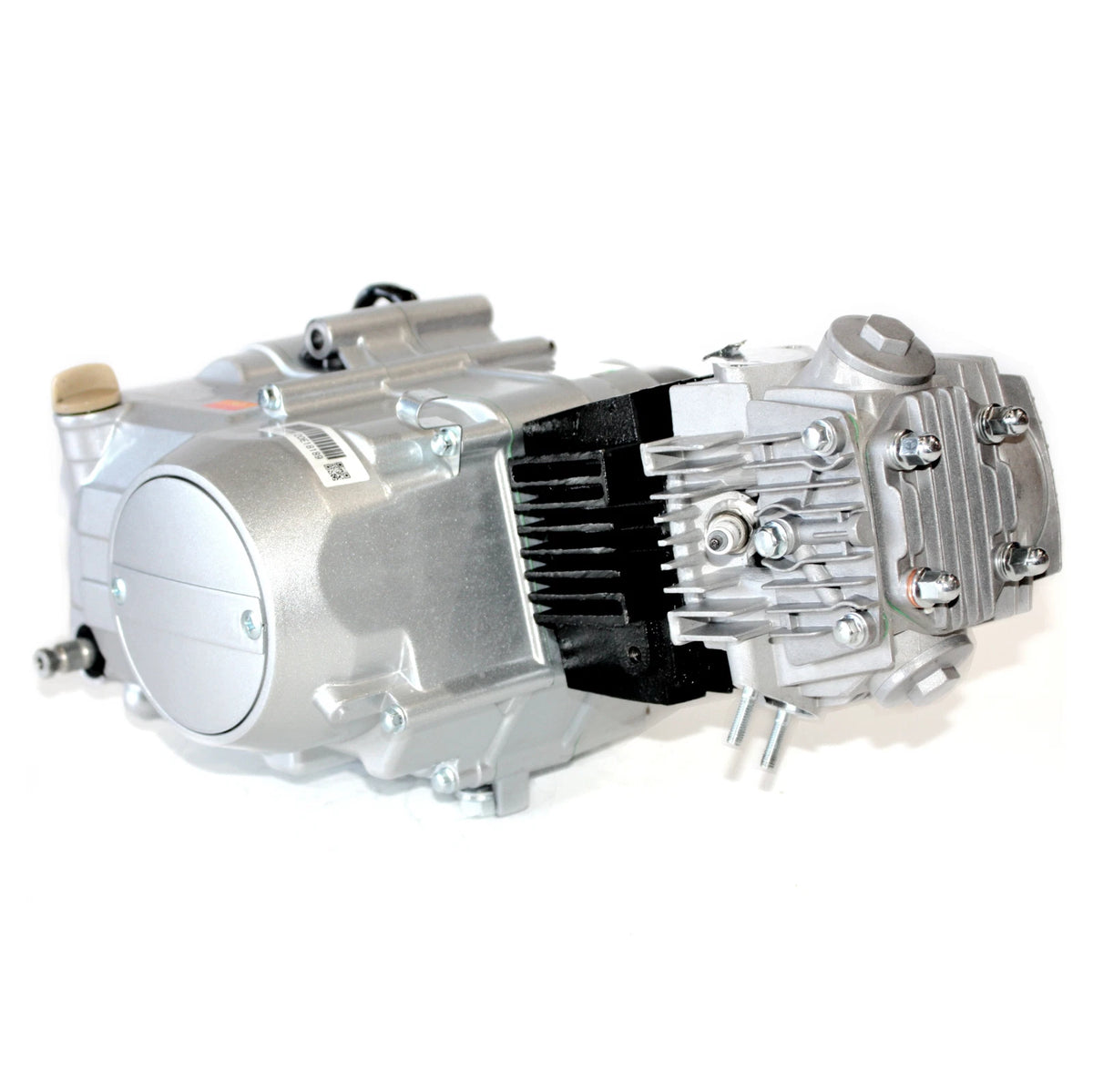 BT 125cc Kick Start Engine Motor with Wiring Kit & Carburetor for PIT PRO