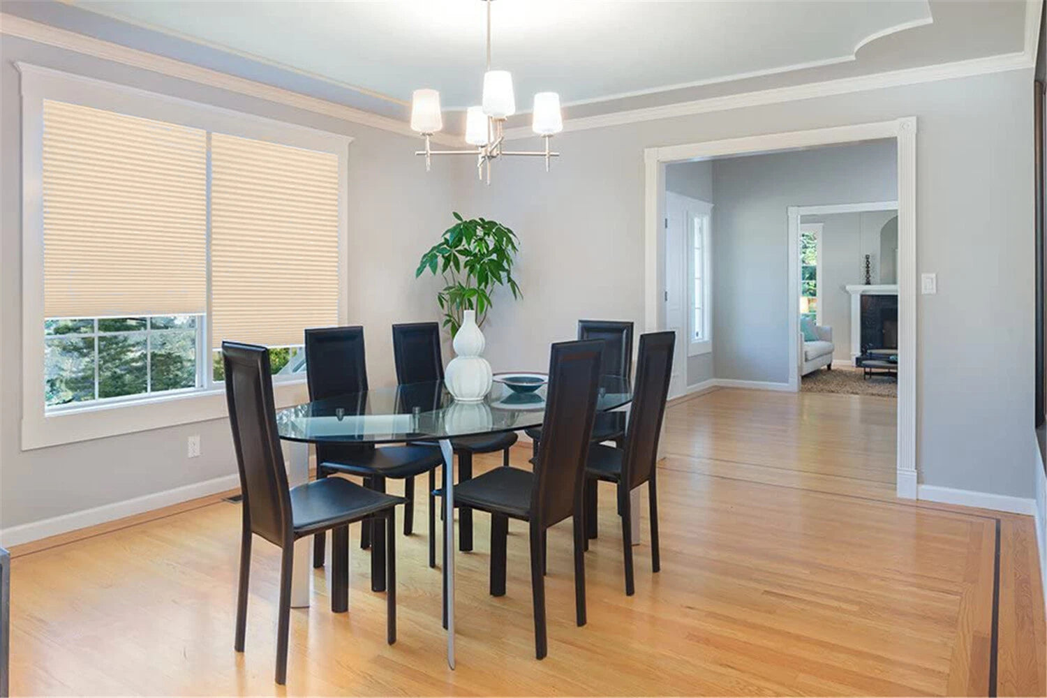 Cordless Cellular Shades for Window (48" W x 48" H)