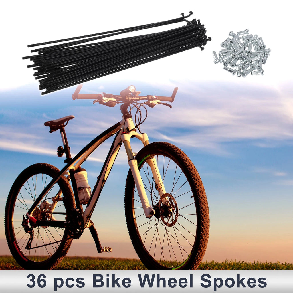 Bicycle Spokes Nipple Set 45 Steel 13G 173mm for Universal (All Models)