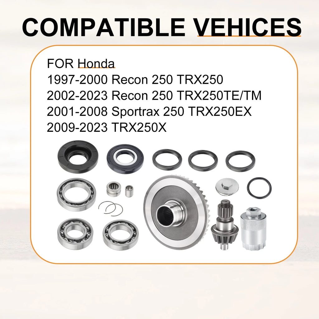 Rear Differential Ring Pinion Gear Bearing Seal Kit for Honda TRX250 (2001–2009)