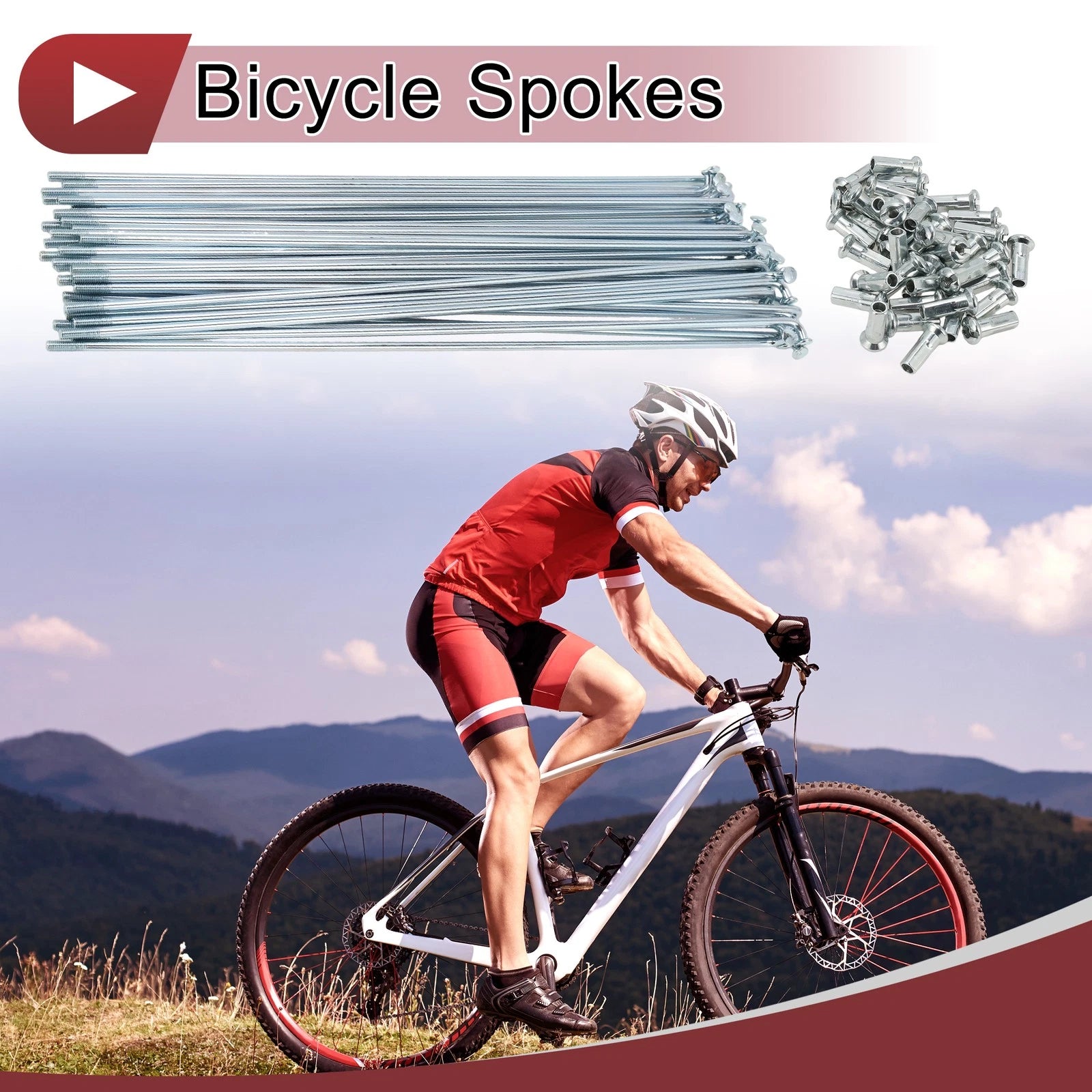 Bicycle Spoke Front Set for 12G 215mm Wheels (Silver Tone) (2005–2015)