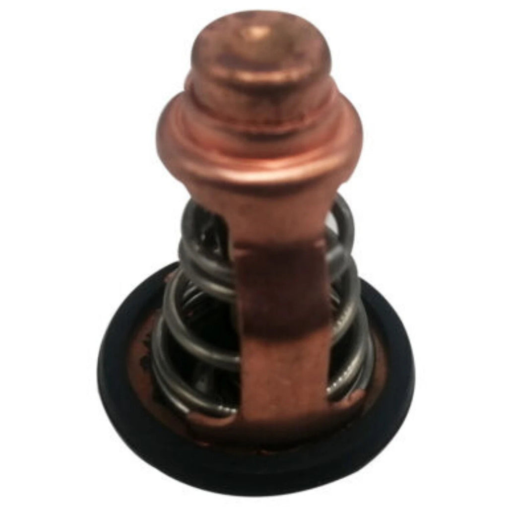 Thermostat for Yamaha F80B F100D Outboard Motor (6D9-12411-00)