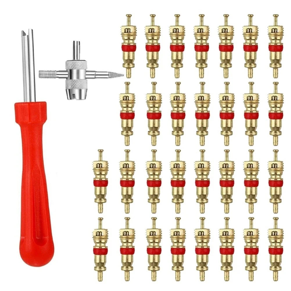 32 Piece Tire Valve Core Tool for Quick Tire Valve Stem Maintenance