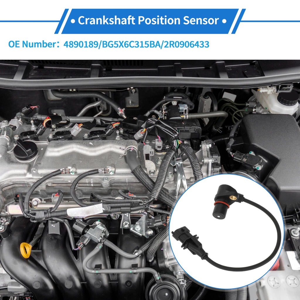 Crankshaft Position Sensor for Ford Cargo (2006–2011) No.BG5X6C315BA