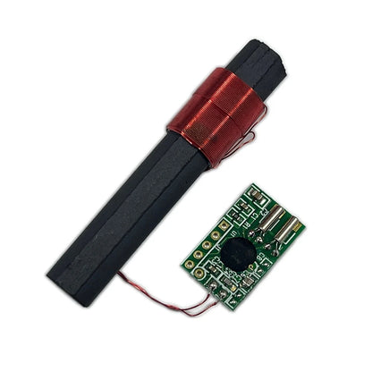 Receiver Module for Seamless Time Integration (No Year Range Specified)
