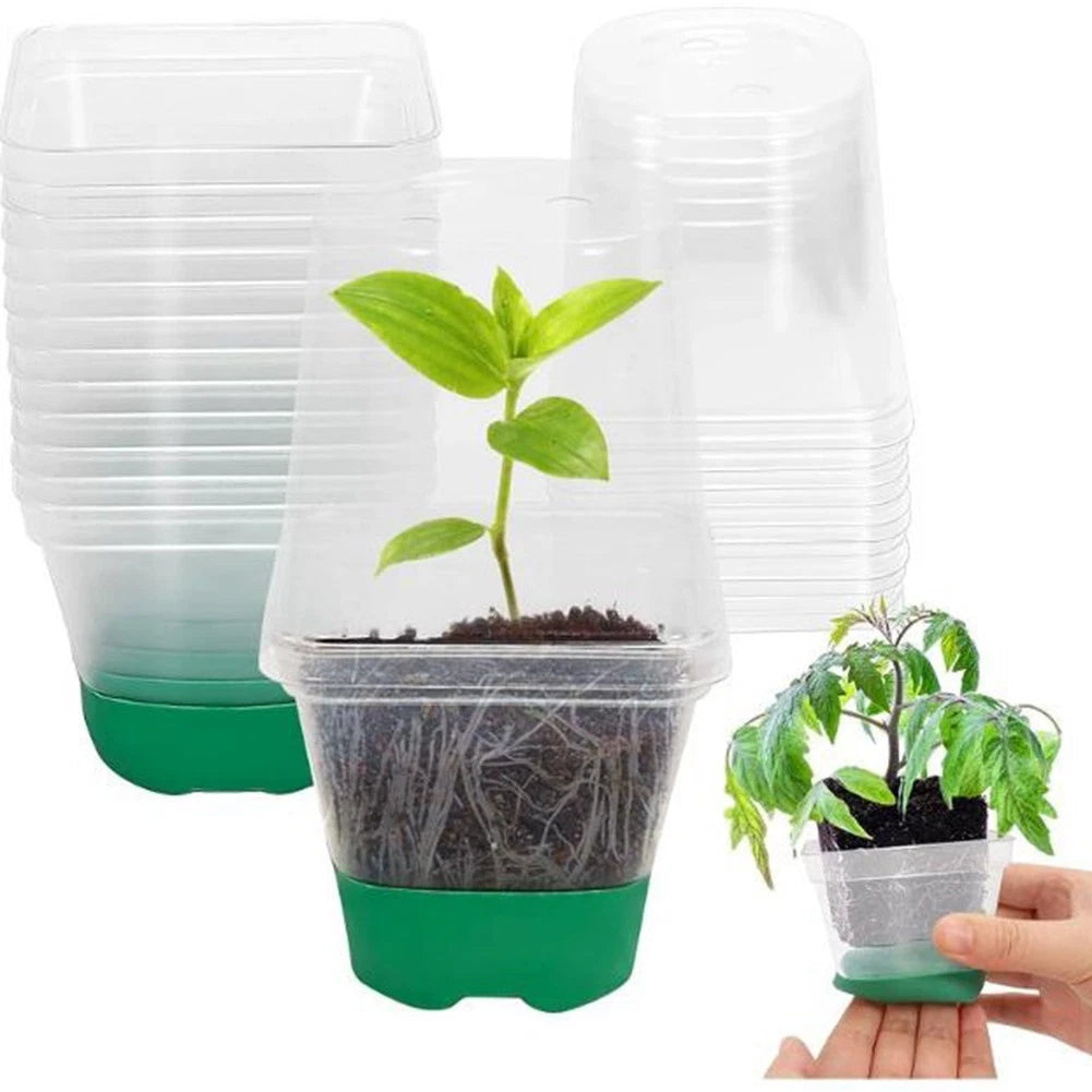 12X Reusable Clear Plant Pots with Drain Holes and Labels
