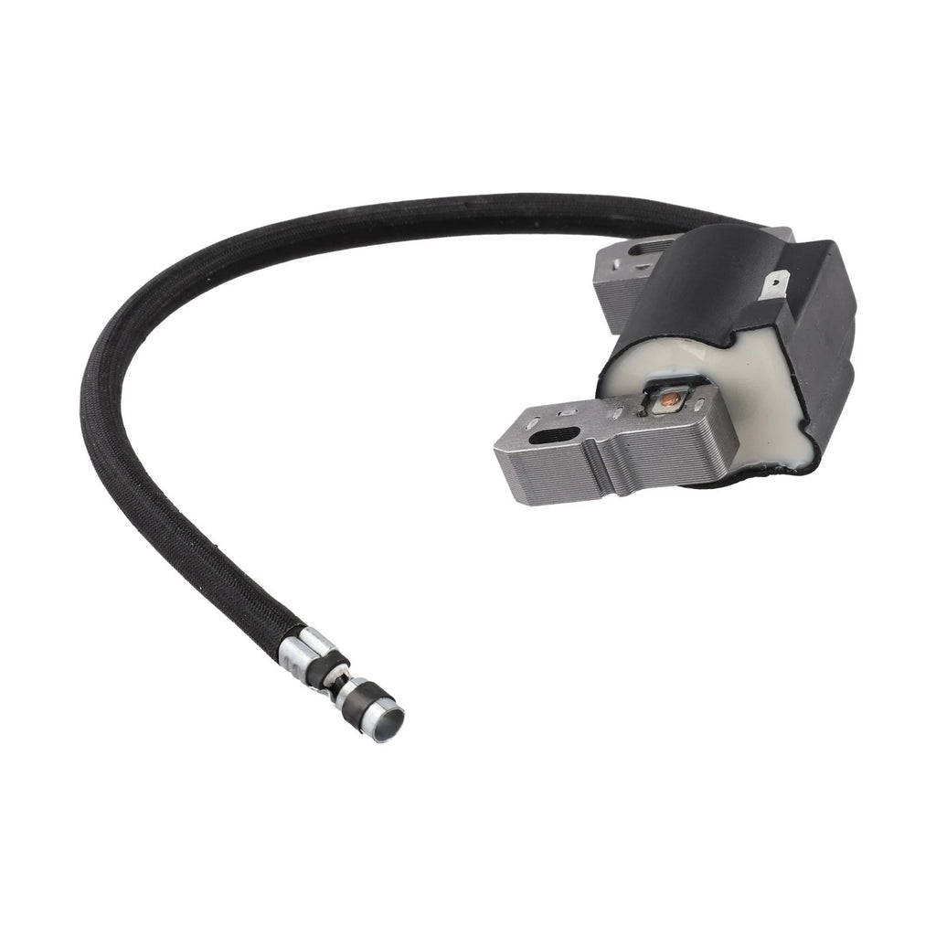Ignition Coil Replacement for Engine Models (492341, 490586, 491312)