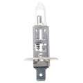 12V 100W Halogen Bulb for H1