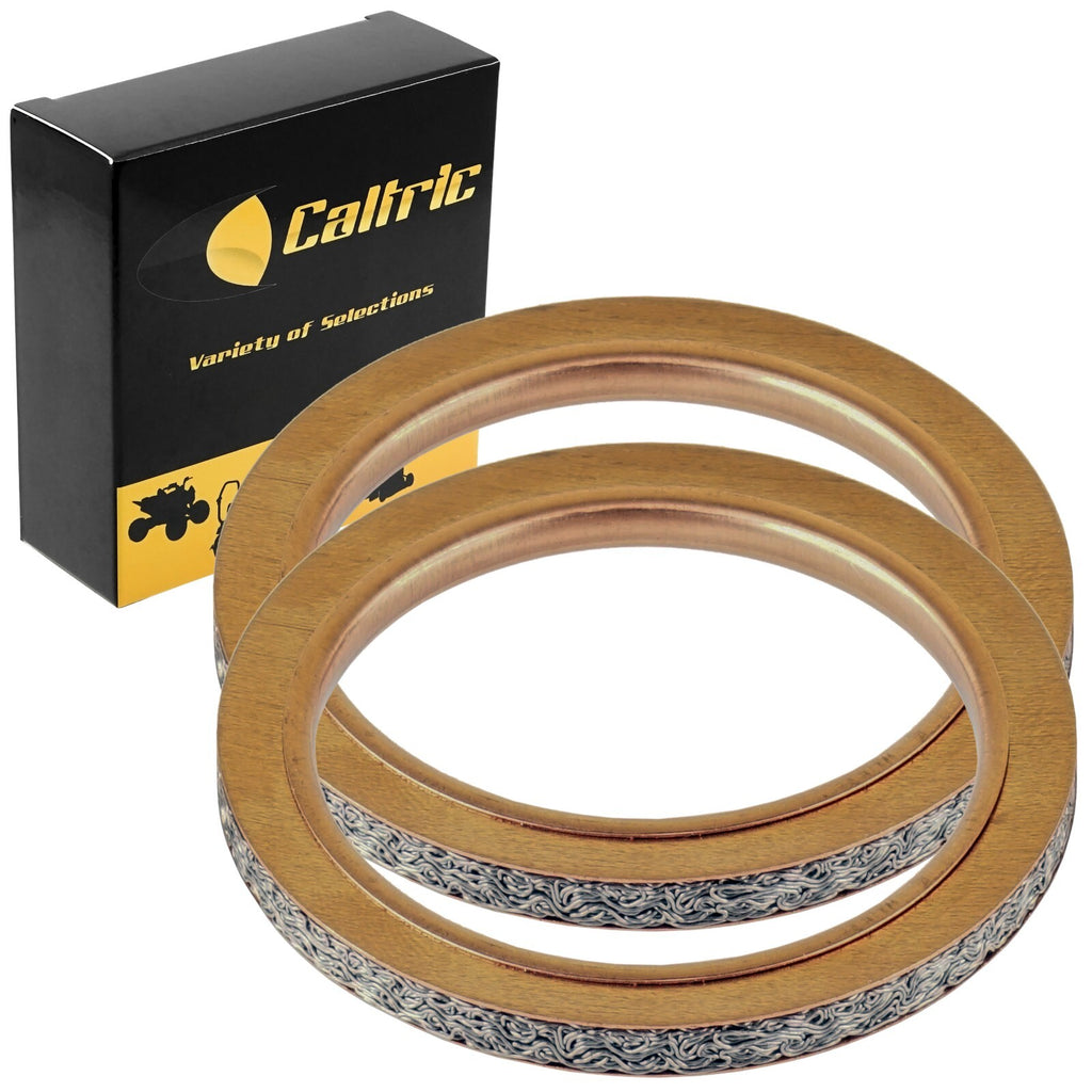 Exhaust Muffler Pipe Gaskets Replacement Set for Yamaha SRX600 TT600 (1983–1986)