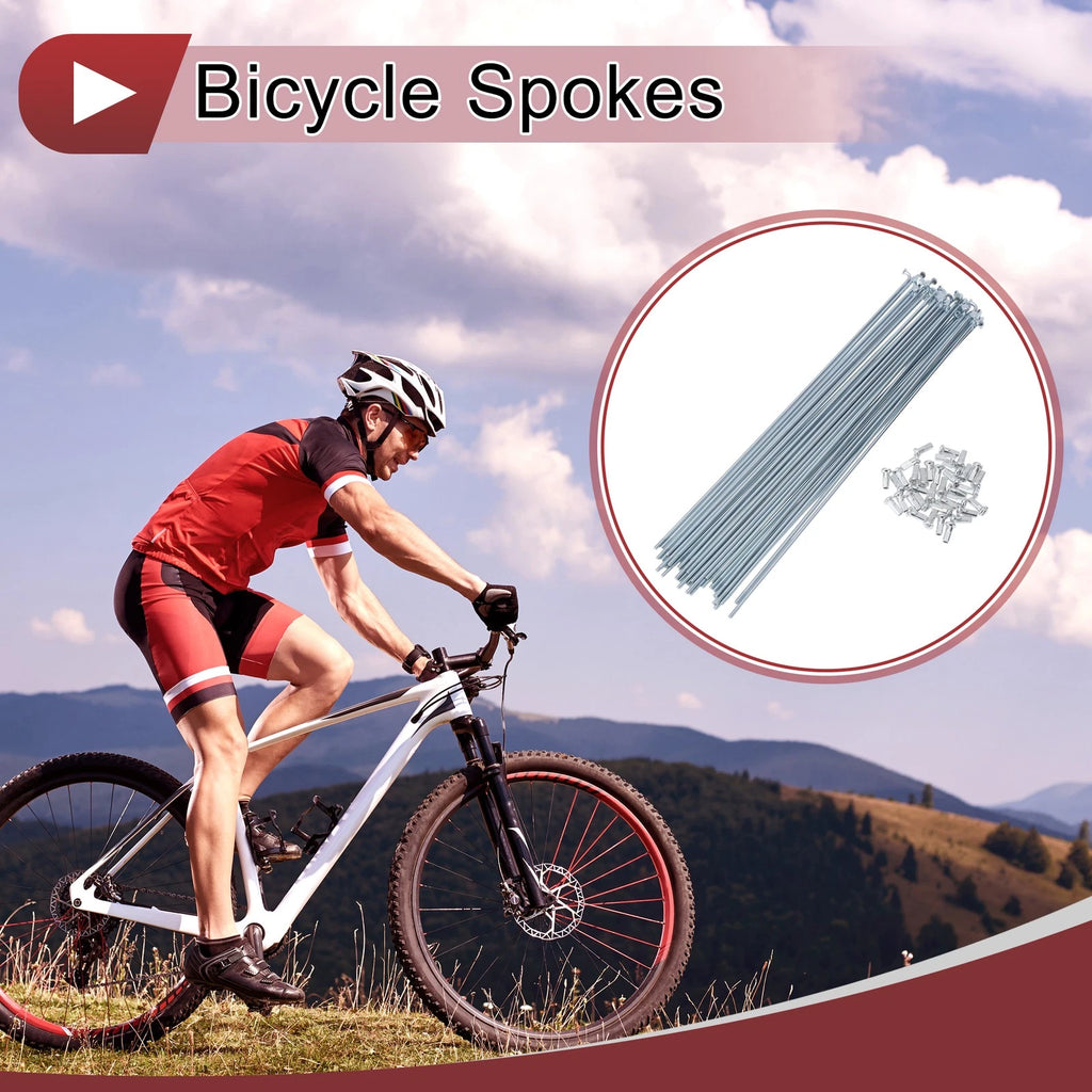 Bicycle Spokes 261mm Steel Galvanized Set for 12G Wheel (—)