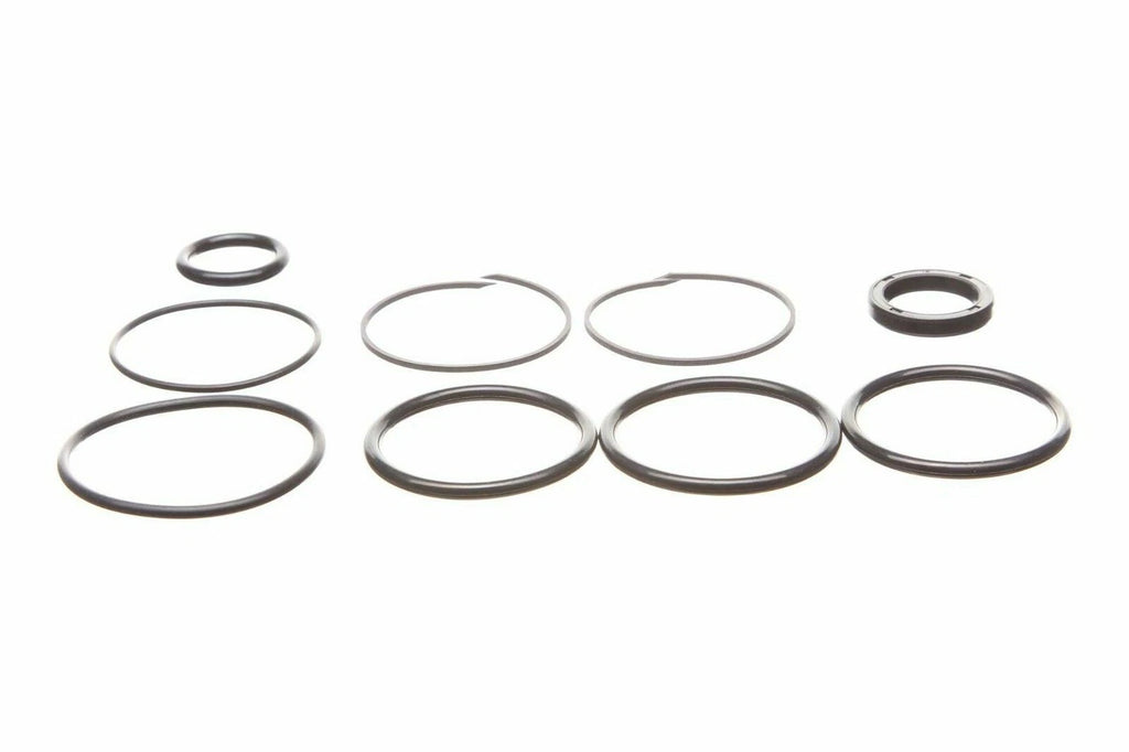 Trim & Tilt Cylinder Repair Seal Kit for OMC Sterndrive (0985060, 3854247)