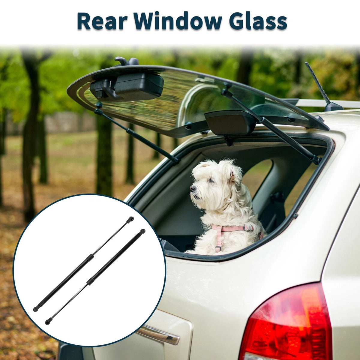 Rear Window Glass Lift Supports Struts Replacement for Toyota Land Cruiser Prado (2003–2009)