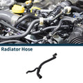 Radiator Hose Replacement for Audi A4L 2016–2020