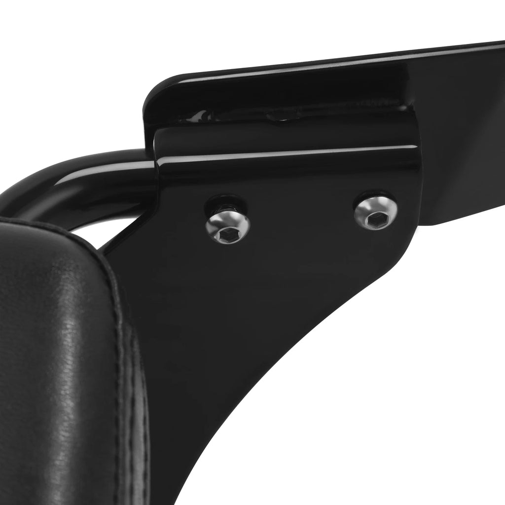 Sissy Bar Backrest Pad Luggage Rack for Harley Breakout (2013–2017)