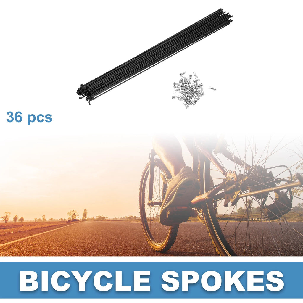 Bicycle Spokes Steel 14G 300mm Replacement for Mountain Bike (36 Pack)
