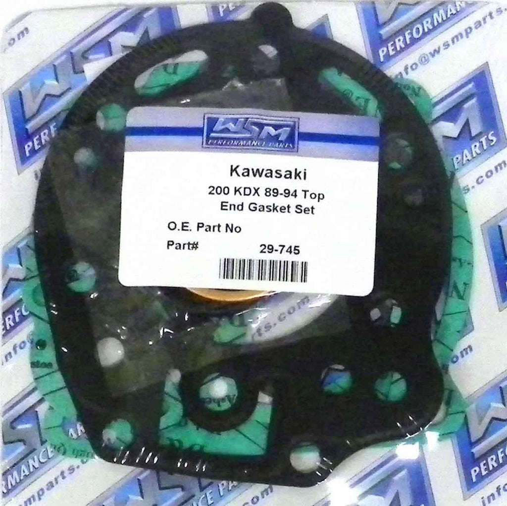 Gasket Kit for WSM