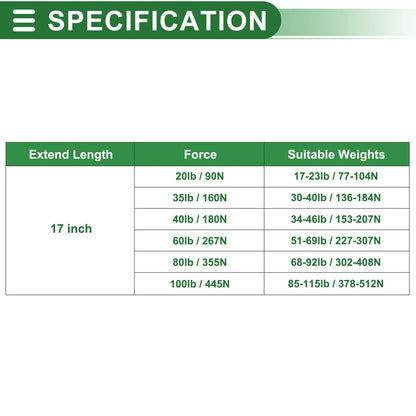2Pcs 20lb Gas Spring Strut for Boat Lift (17inch/430mm)