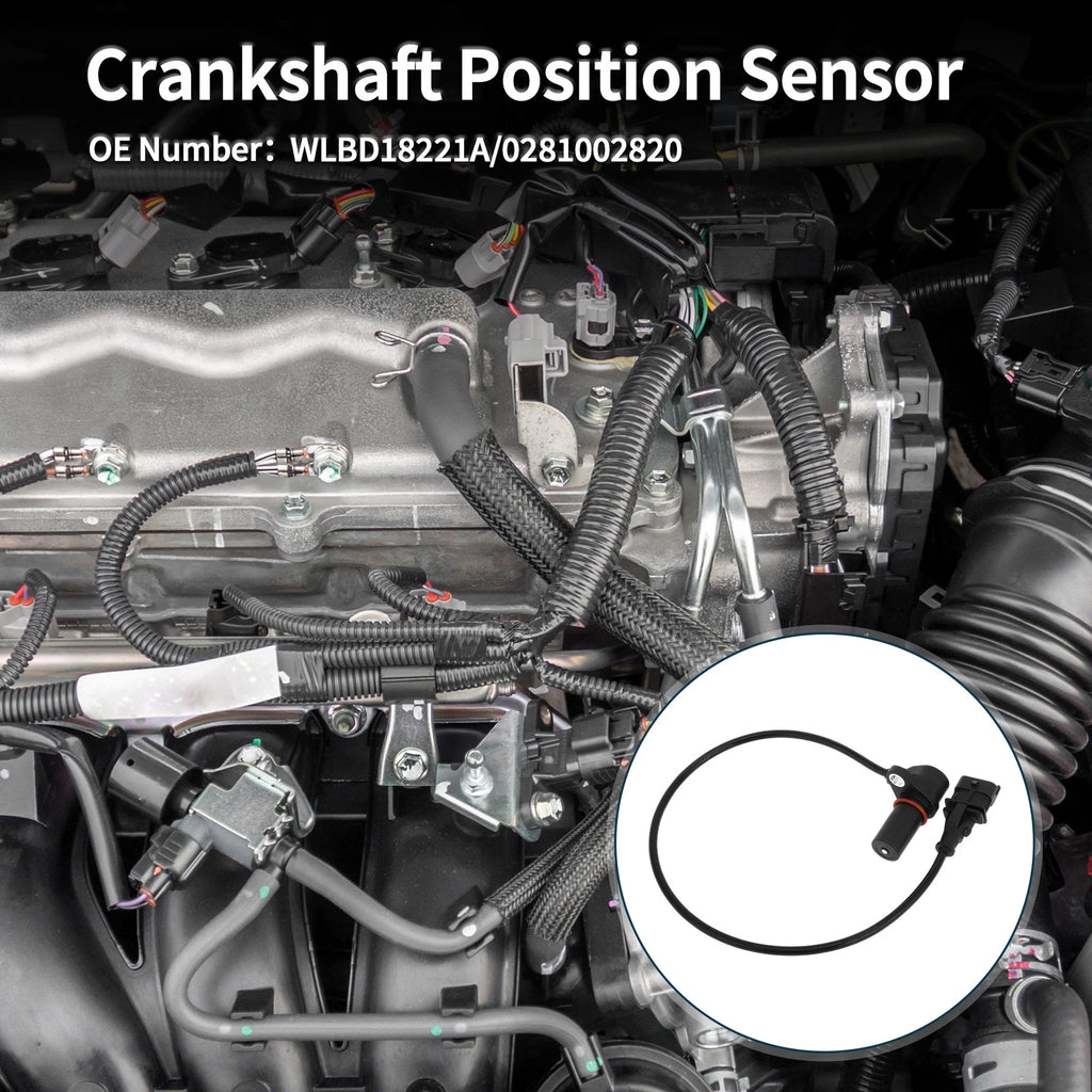 Crankshaft Position Sensor for Mazda BT-50 2.5MRZ-CD (2006–2013)