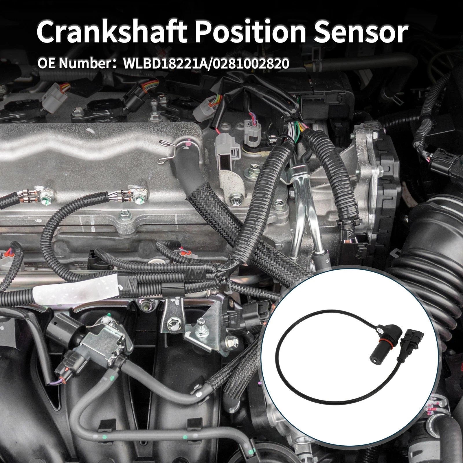 Crankshaft Position Sensor for Mazda BT-50 2.5MRZ-CD (2006–2013)