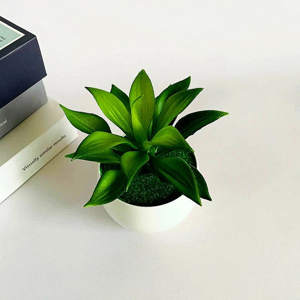 Artificial Potted Succulent Plant for Home Decor