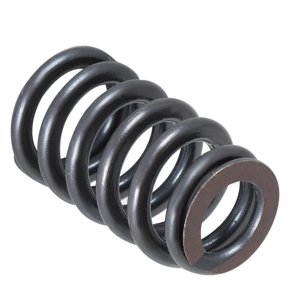 Drop-In Beehive Valve Spring Kit for LS Engines (.600" Lift) PAC-1218