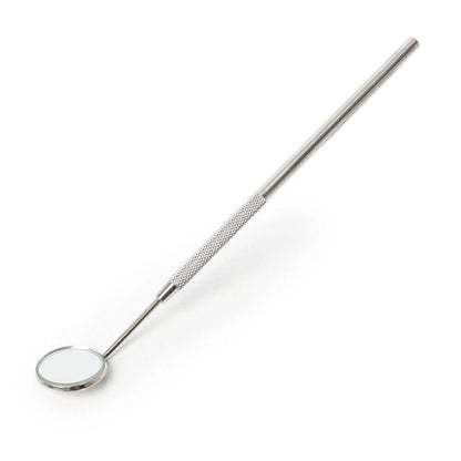10X Stainless Steel Dental Mouth Mirror for Professional Use