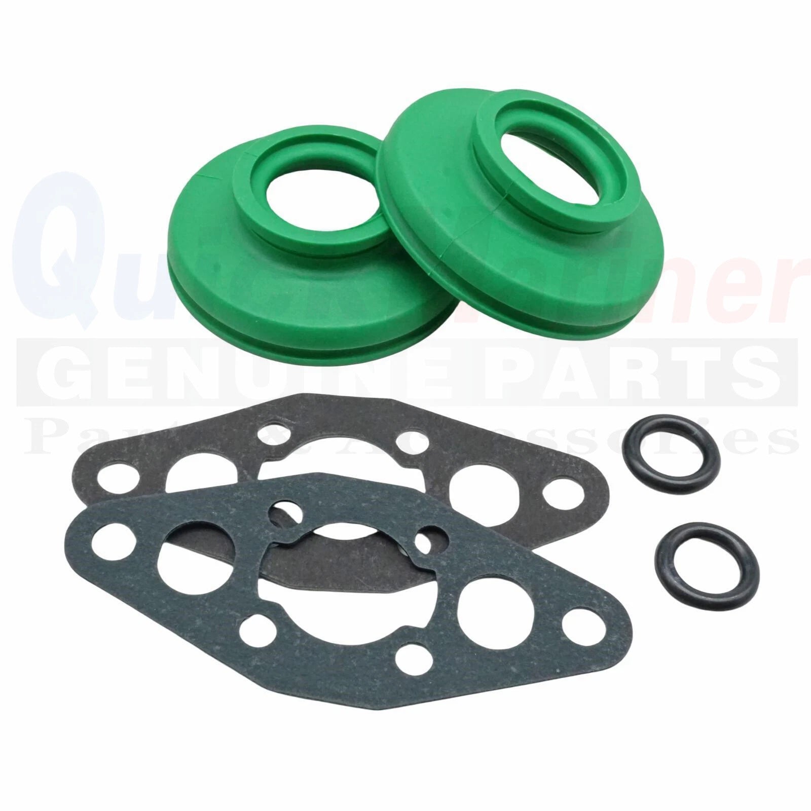 RAVE Valve Repair Rebuild Kit for SeaDoo GSX GTX SPX (1996–1999)