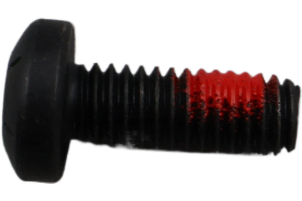 OEM Screw Panhead Torx for Harley-Davidson (2232)