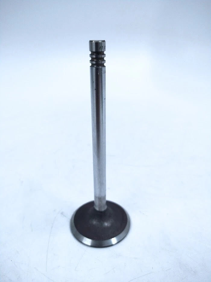 Engine Valve Inlet for Volvo Penta (419734)