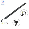 Power Lift Support for Ford Explorer Police (2015) Rear Left