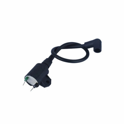 Ignition Coil Module for ET950 ET650 EF1000AX