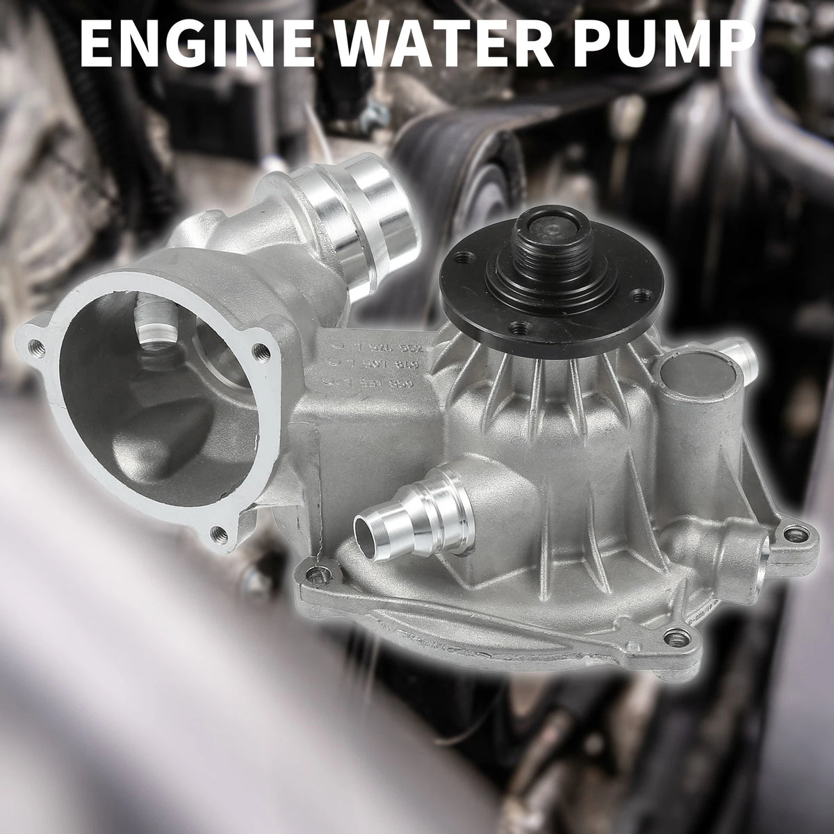 Water Pump Replacement for BMW 745i 745Li (2002–2003)