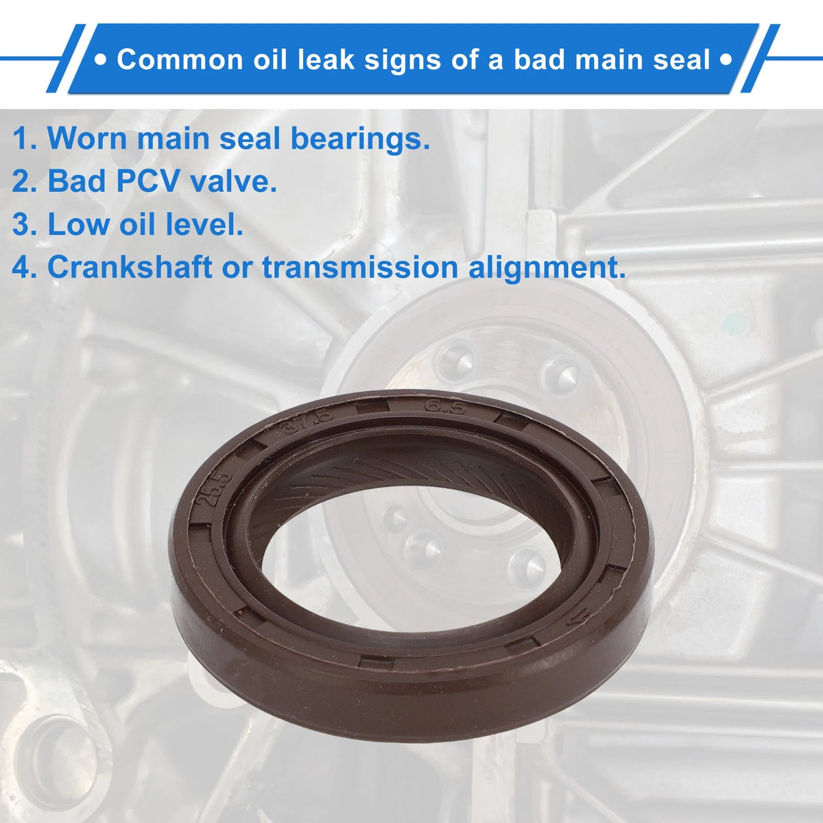 Front Crankshaft Oil Seal Replacement for Toyota Echo Prius (1999–2015)