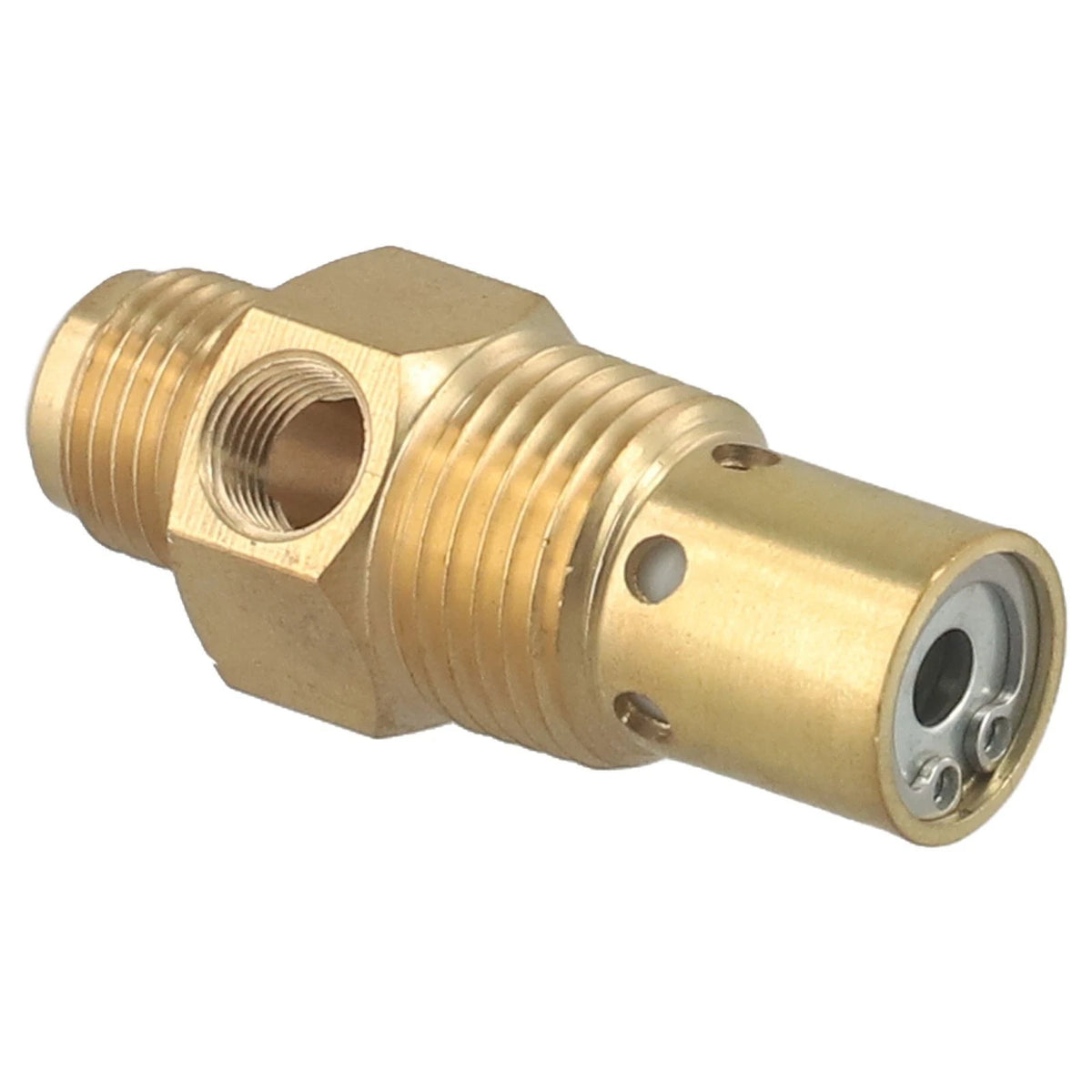 Male Threaded Check Valve for Air Compressor