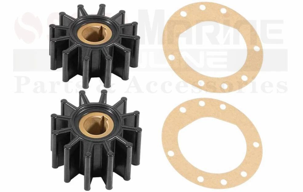 Dual Impeller Pump Repair Kit for Sherwood D55 D-55