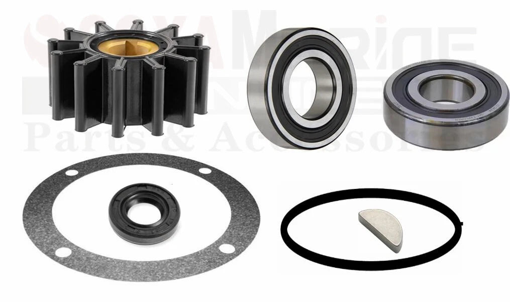 Impeller Service Repair Kit for Sherwood H-5 H5 Pump (NA005576, 12980)