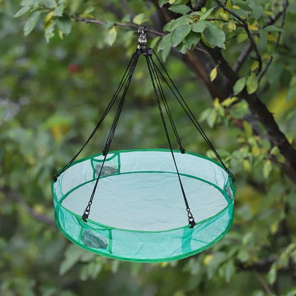 Hanging Bird Feeder for Weather-Resistant Use - Easy to Clean, 4 Hooks