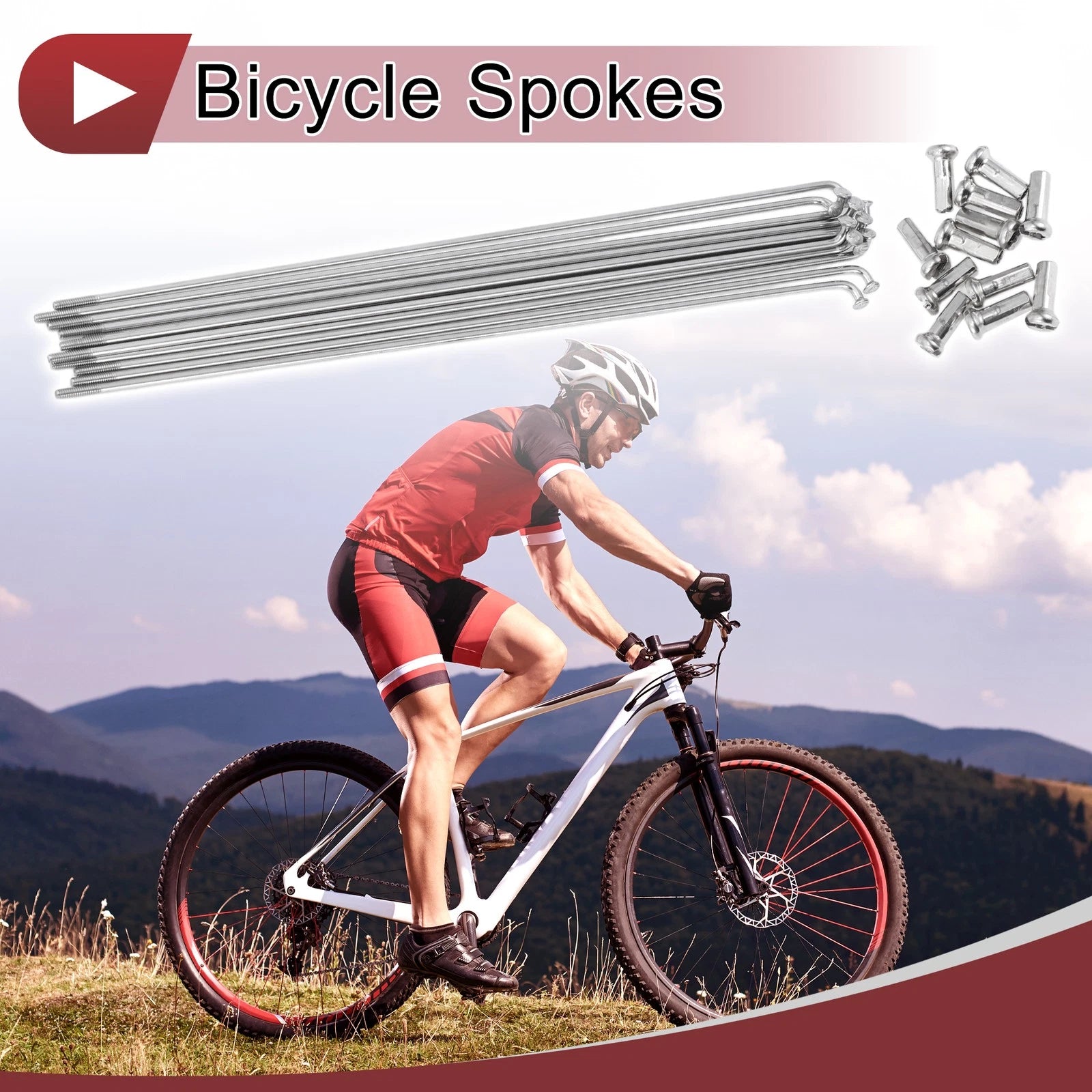 Set 12 Bicycle Spokes 183mm 304 Stainless Steel for 14G Wheels (Universal)
