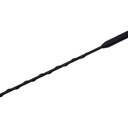 Antenna Rod Mast for Ford (CT4Z-18813-B)
